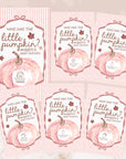 Custom A Little Pumpkin Girl Baby Shower Game, Pink Pumpkin Themed Baby Shower Scratch Off Game Who Has the Little Pumpkin? Fall Shower