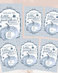 a collection of six identical baby shower invitation cards, each featuring a pumpkin design and the text "Who has the little pumpkin?" The cards are arranged in a grid pattern, with three cards on the top row, three on the bottom row, and two on the left side and right side of the image.