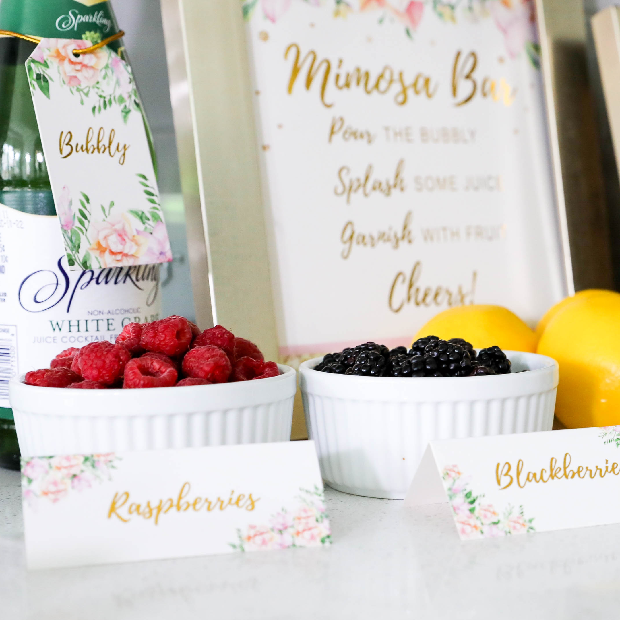 Mimosa Bar Decoration Kit - CÔTIER BRAND